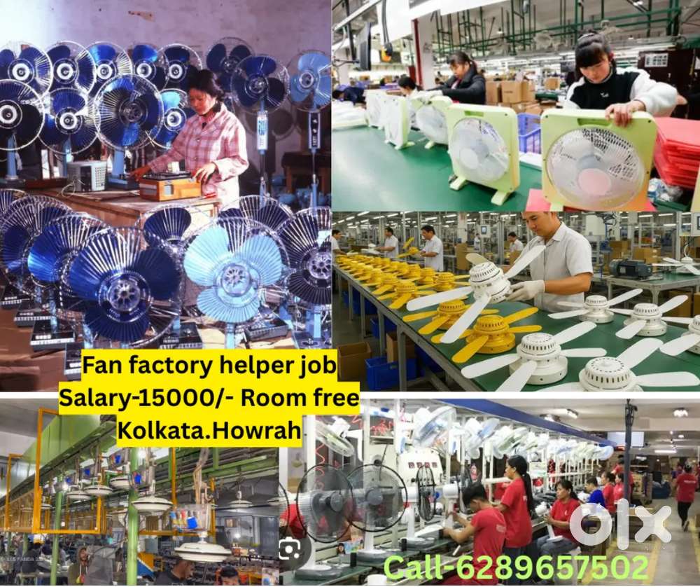 Fan Factory need worker