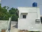 House for lease