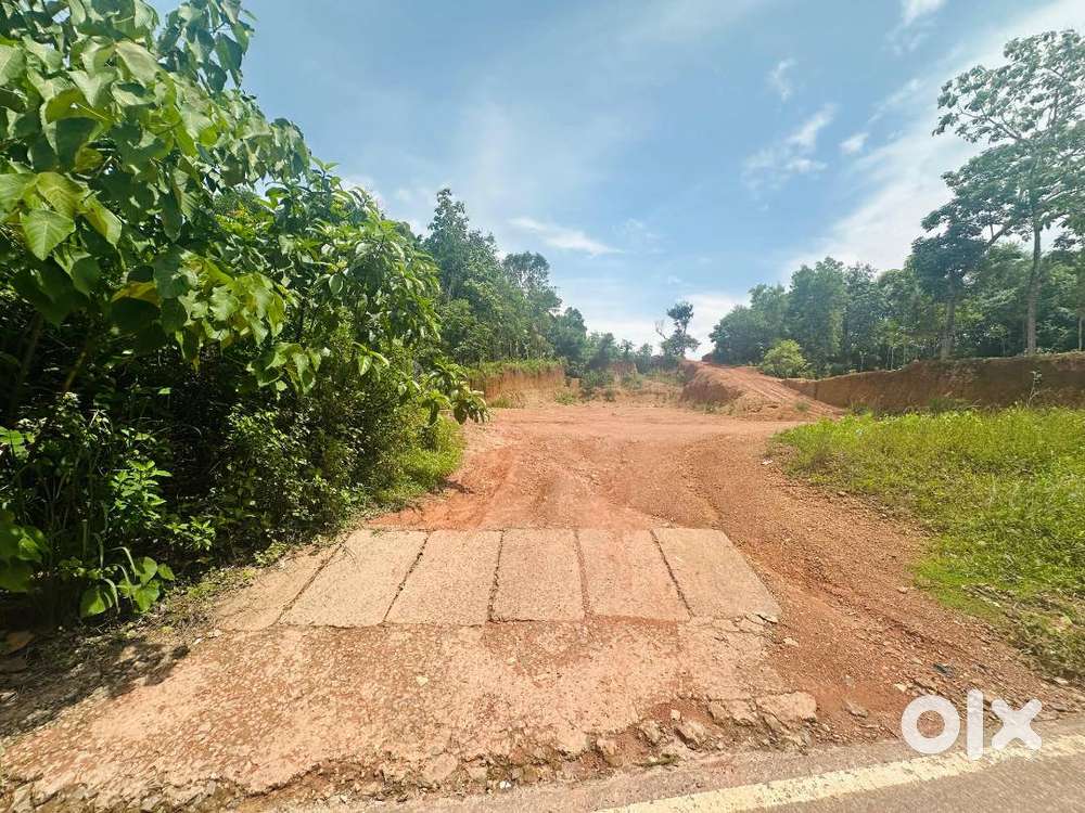 Attingal Bypass, Ring Road, Acre Plot, New Highway, NH Bypass