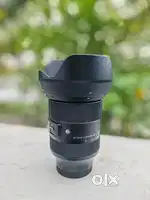 Sigma 24-70 2.8 sony lens