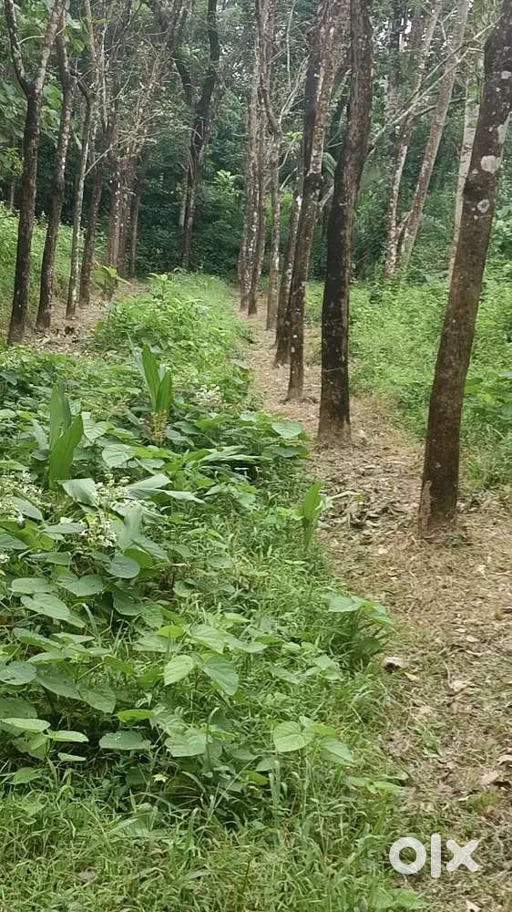 Land for sale in Thrissur