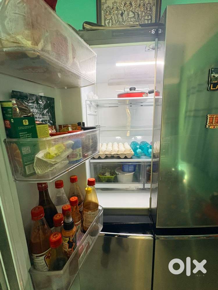 1 year 6 months old side side by LG fridge