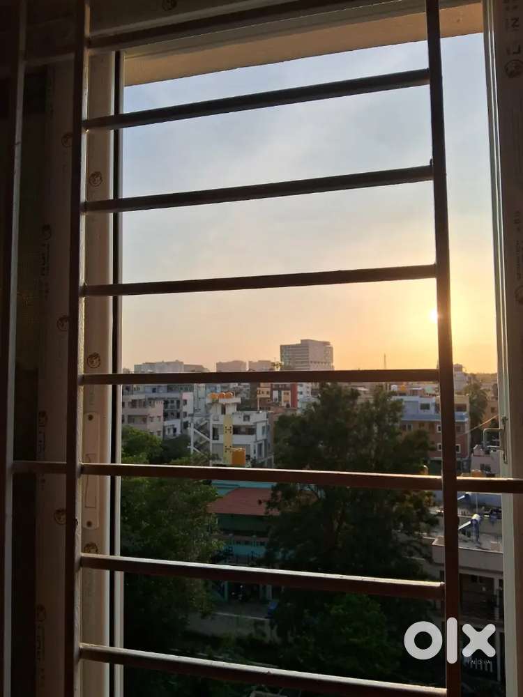 Wanted 1 bhk in Whitefield near metro