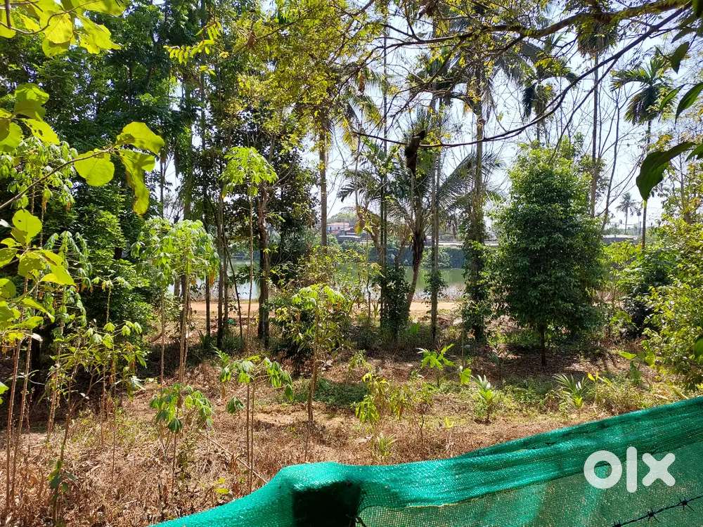 40 cent land for sale  Chirangara plot can be split with 7,8,9,10 cent