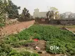 153. Gaz plot in cherratha bhalla colony orchid valley
