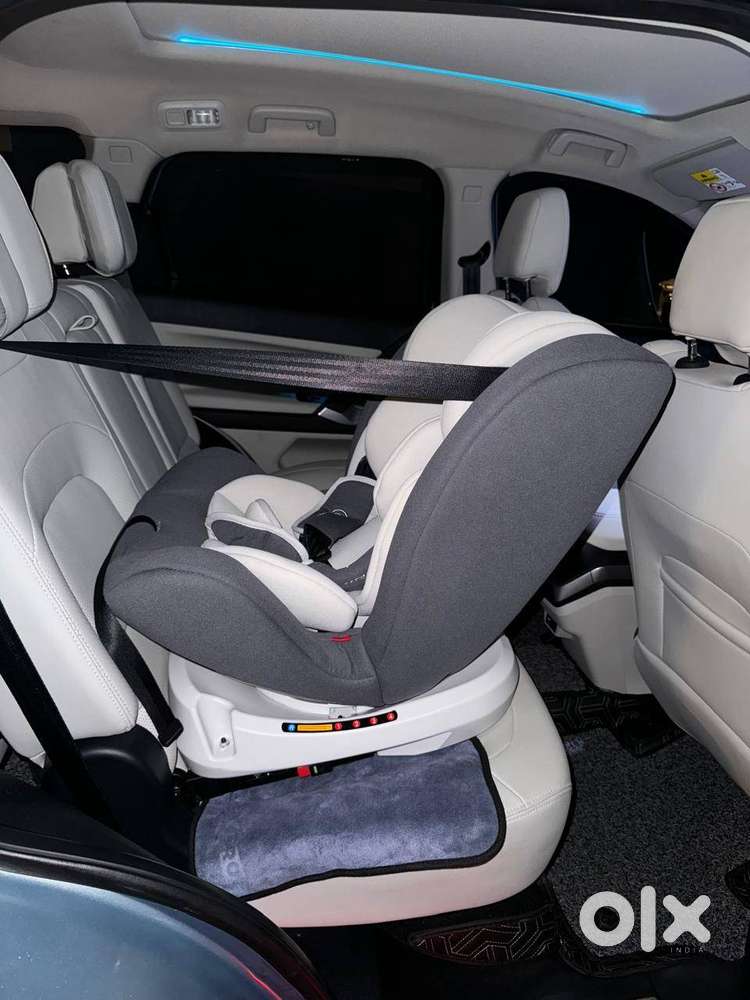 R for Rabbit Car seat