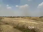 19 bigah agriculture land near kaithoon kurad 2km from mumbai expre