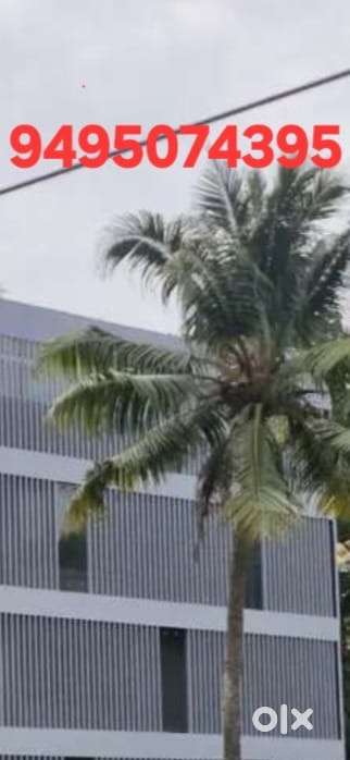 Prime 1000 sq.ft Commercial Space for Rent, Kulathoor -Kazhakootam