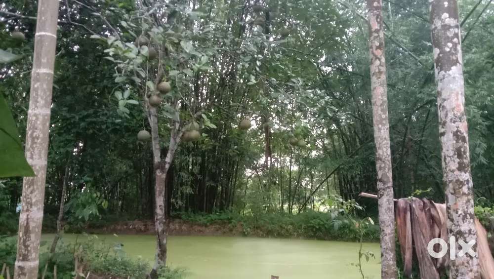 2.5 kotha meyadi mati 500 m from Highway