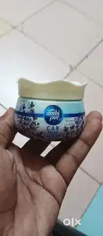 Car freshner