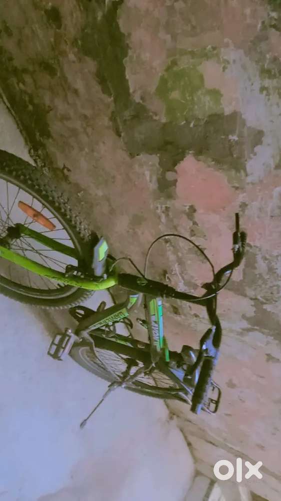 Avone cycle very best