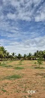 Villa Plots at Near Mettupalayam road
