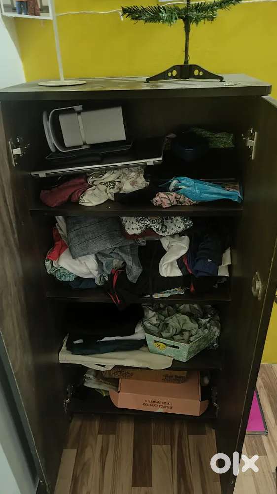 Wardrobe Almirah - wood