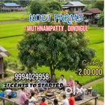 A smart Family farm - land sale