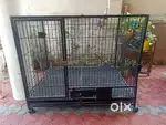 Dog cage for sale