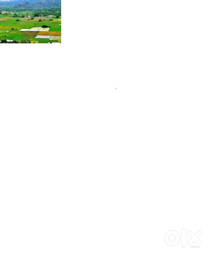 Agricultural Supervisor