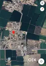 Plot Sale Near Shri Panchmukhi Balaji Dham (Ring Road)