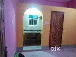 All type room rent & sell
