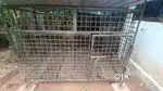 Dog cage for sale
