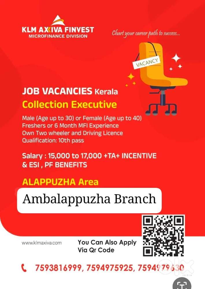 Centre Collection Executive