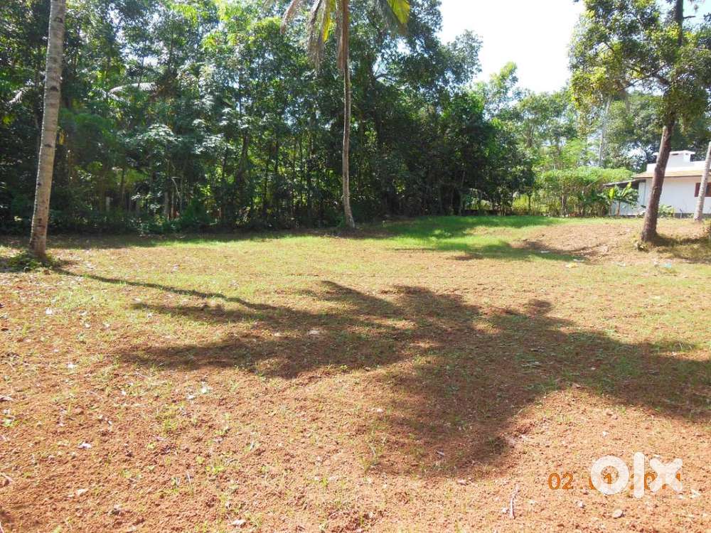 12 cents(5230 sq ft )Land for sale at Kattanam,lappuzha Distt Kerala