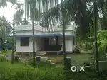 House  for lease    urgent.