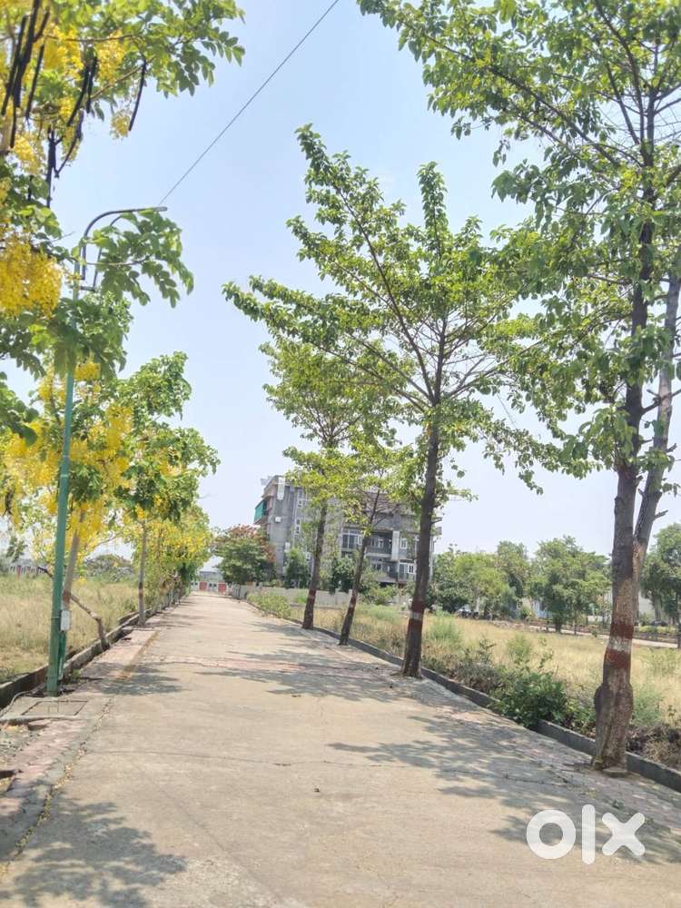 PLOT AVAILABLE FOR SALE TULIP GREEN
