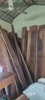 Teak Palaka Urupaddi
