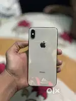 Xs max 256