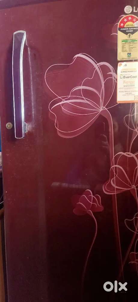 LG Firege single door