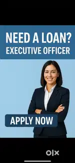Loan executive officer