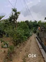 2 গন্ডা জায়গা বিক্রি করা হবে, বড় রাস্তা থেকে 50 মিটার ভিতরে, রাস্তা 7