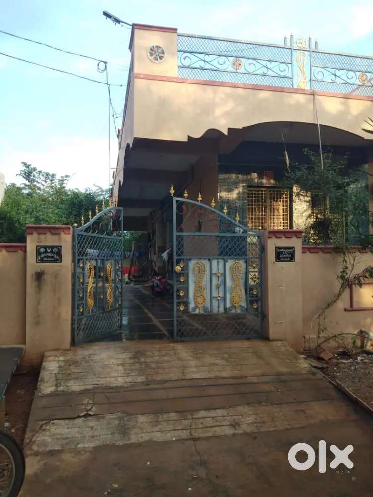 Individual Own House