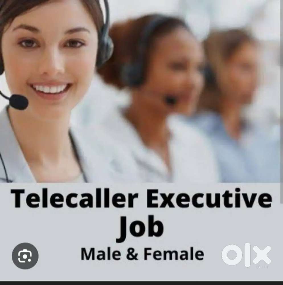 IT software company Telecaller job
