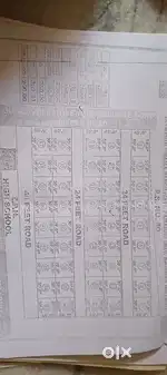 Low Budget Plot in Pamarru