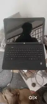 Hp laptop window 7