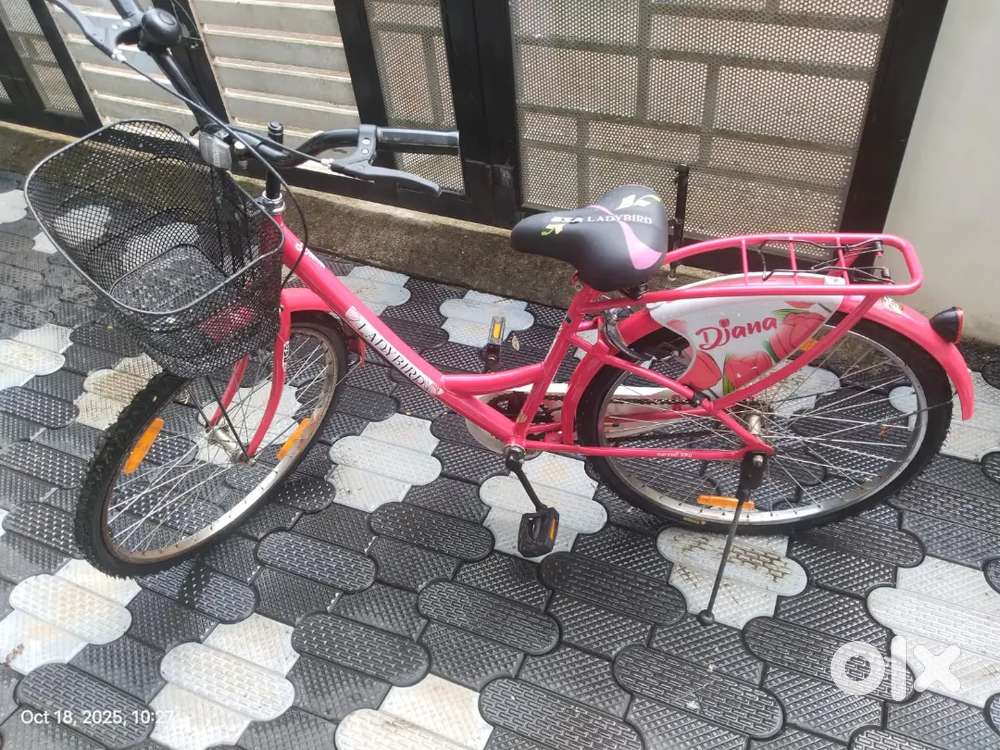 Brand New Lady bird Diana Bicycle