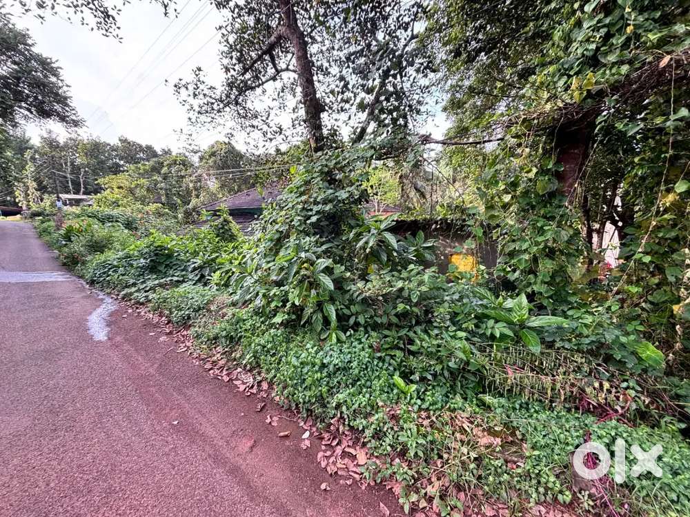 Settlement plot available for sale in Pomburpa