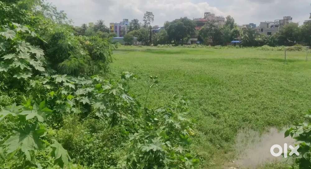 26 Bigha land for sale in south kolkata nearby ruby