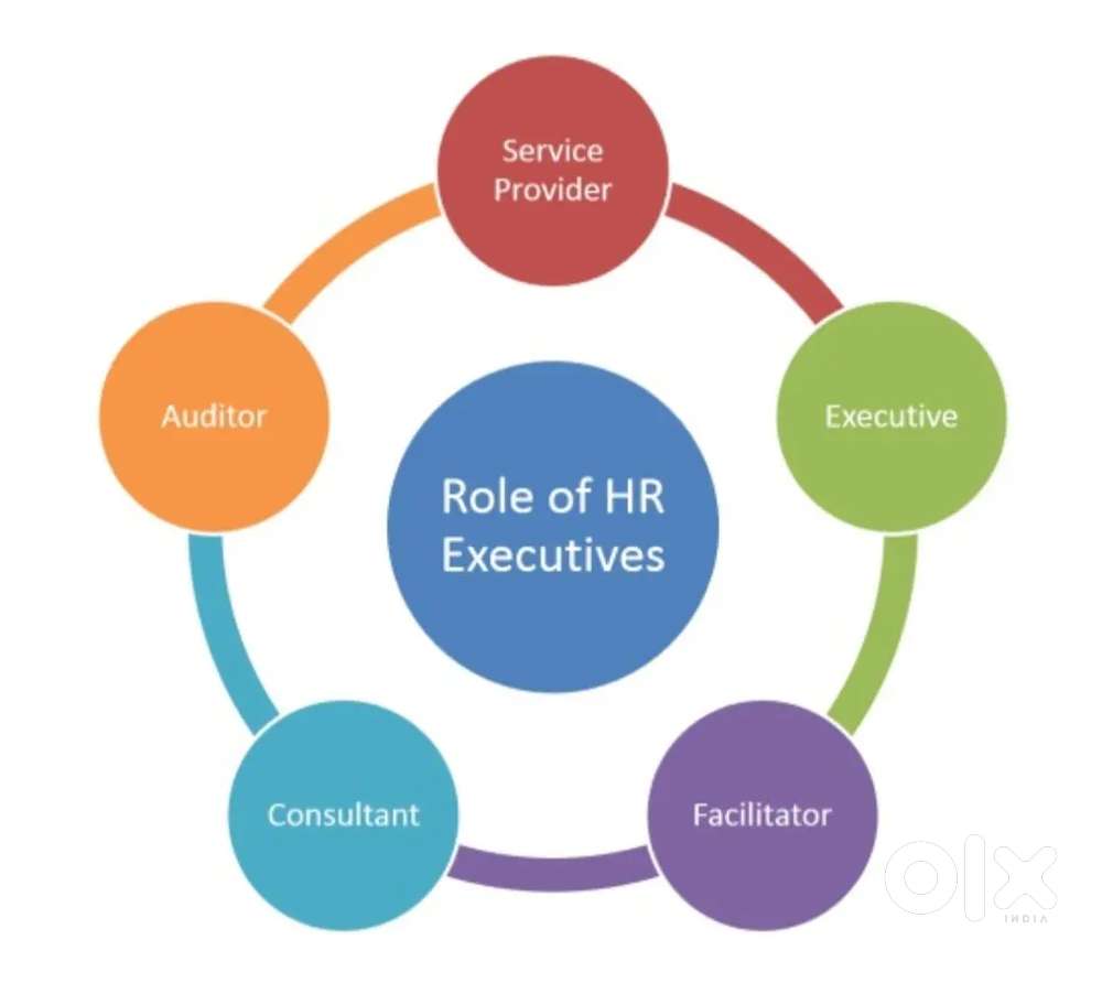 HR Executive