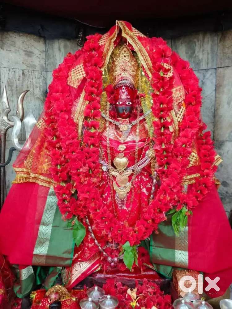 Hapaniya  te12 feet cc road er pase.jagar samne gari dukbe