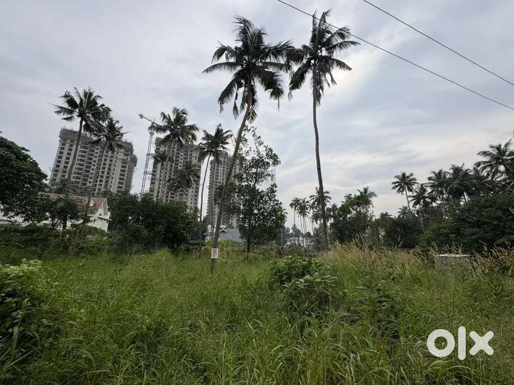 12 plot for sale in padavarad, kuttanellur