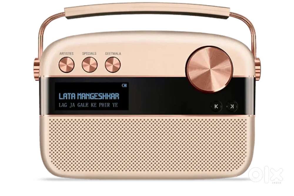 SAREGAMA Carvaan Rose GOLD With 5000 Preloaded Songs (Harman/Kardon)