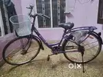 BSA Lady bird