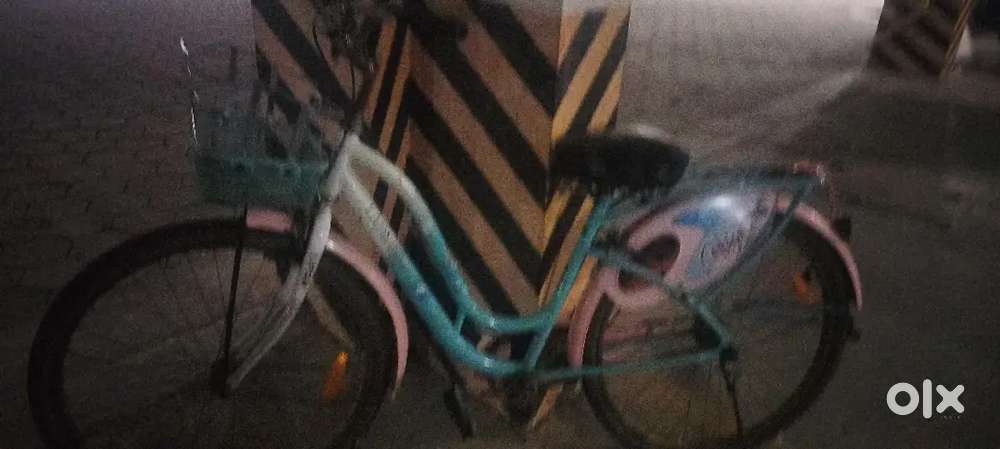 Lady Bird bicycle