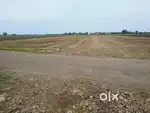 Plots near Kanchikacherla for sale