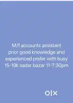 Accountant assistant