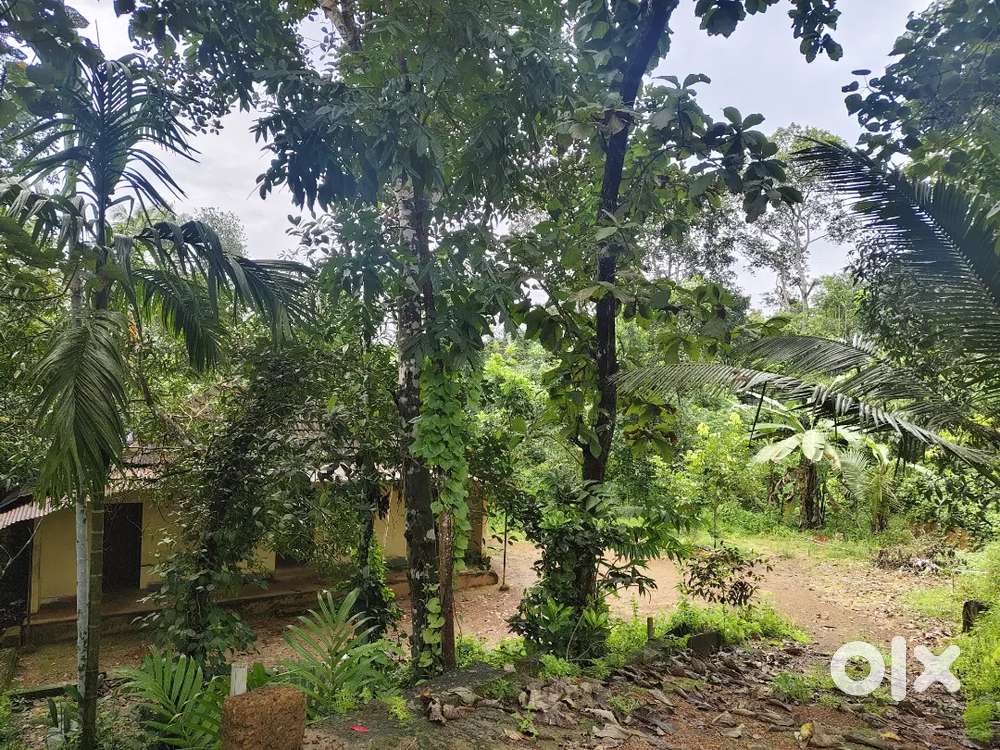 70 cents of road facing land suitable for house plots