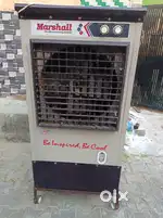 Marshall company Cooler