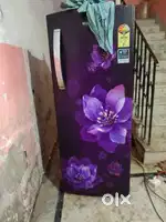 Fridge sele arjent money pblem